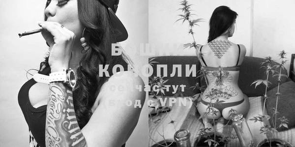 spice Абаза