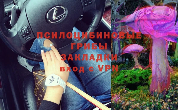 spice Абаза